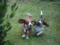 Zoom