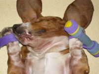 Zoom