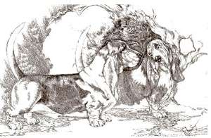 Gravure de bassets Hounds