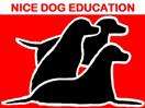 un educateur canin sympathique et compétent sur Nice
