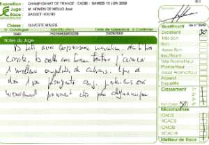 Cliquez pour ouvrir les commentaires du juge du Championnat de France 2009