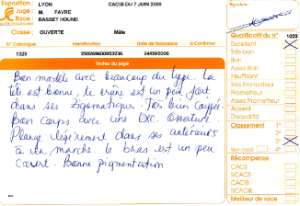 Cliquez pour ouvrir les commentaires du juge à Lyon en 2009