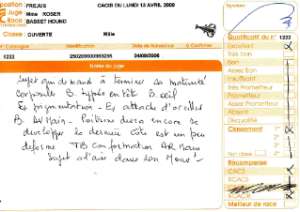 Cliquez sur les commentaires de Fréjus pour les agrandir