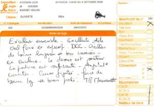 Ciquez pour ouvrir les appréciations d'Avignon 2008