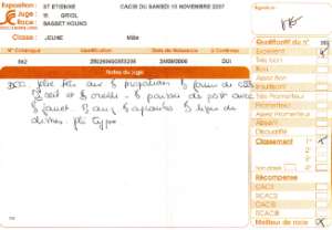 Cliquez pour ouvrir les appréciations de Saint Etienne 2007