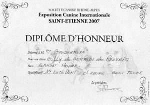 Diplôme d'honneur St Etienne