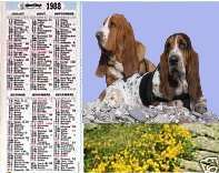Cliquez pour ouvrir le calendriier des expositions canines de la SCC