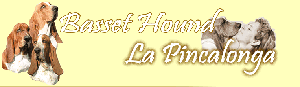 Allevamento La Pincalonga