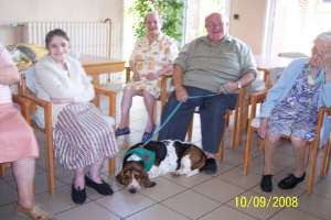 Notre basset hound tient compagnie aux seniors