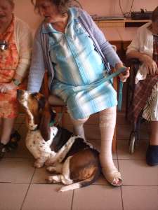 Allumette aime les calins