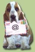 Cliquez pour vous abonner  la newsletter