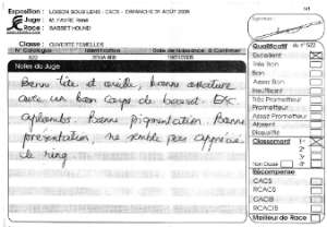 Cliquez pour agrandir
