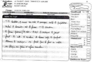 Cliquez pour agrandir