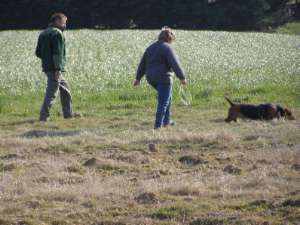 Dpart de mme Deleage et l'un de ses 5 chiens