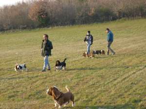 Une partie du groupe