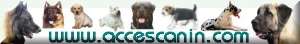 Cliquez pour accéder à ce très bon site canin