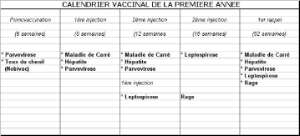 Cliquez pour l'agrandir