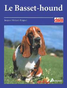 Pour commander le basset hound
