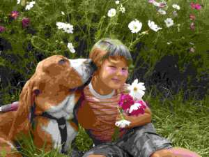 Un basset hound parle à l'enfant