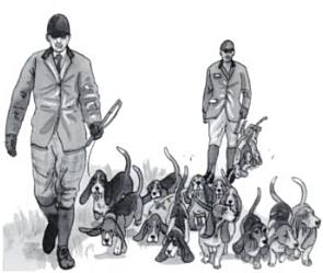 Un croquis d'une belle meute de basset hound