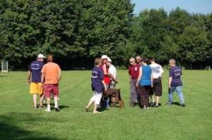 L'un des test du CSAU auquel peut participer le basset hound