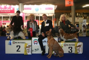 Un basset hound bien connu sur un podium du 6ème groupe en suisse