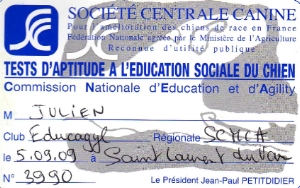 Test d'aptitude à l'éducation sociale du chien