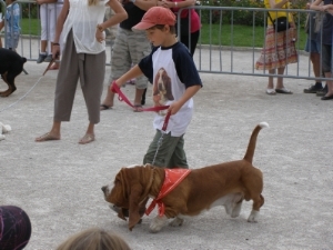premier dfil  saint laurent du var avec notre basset hound
