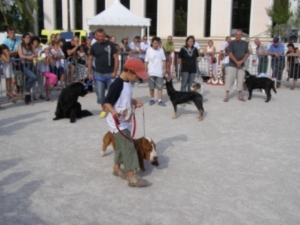 Parade finale des chiens en 2008