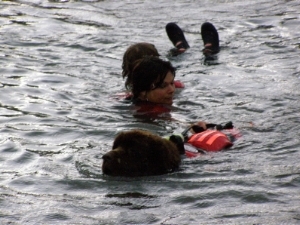 dmonstration de sauvetage en mer avec un terre neuve