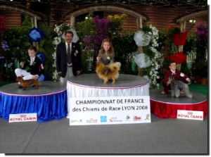 le Championnat de France 2008 des juniors handlers
