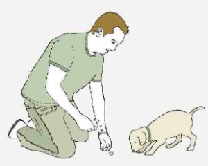 Pas bougé !