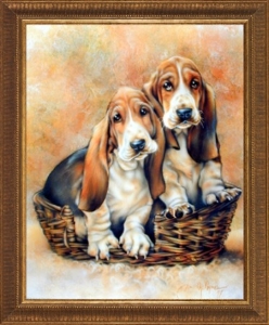 Deux charmants chiots basset hound