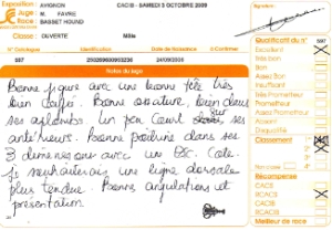 Commentaires des juges à AVIGNON 2009