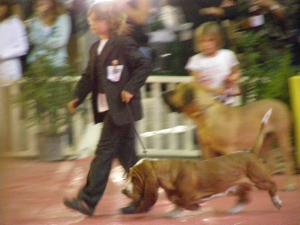 Défilé lors du Junior handler du Cacib d Avignon 2009
