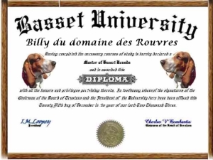 Le basset hound aura t il son diplome après le test de Campbell ?