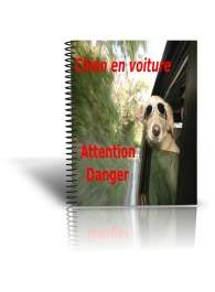 Le chien en voiture attention danger