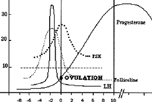 Taux de progestérone