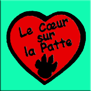 Des photos de l'association un coeur sur la patte avec Allumette