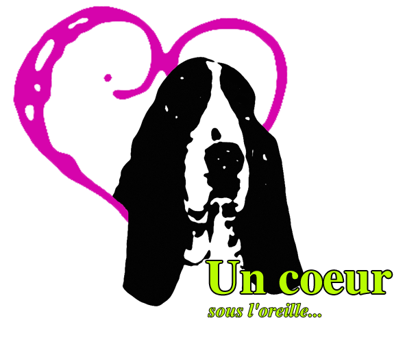 Acces au site de l association