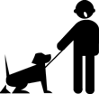 Pour que votre basset-hound soit propre