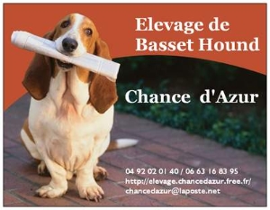 Chance d Azur sur Office Live