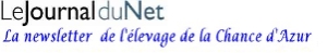 Pour vous abonner aux dernires nouvelles de l elevage de la Chance d Azur