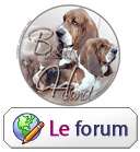 Pour accder  notre forum