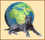 chien.com