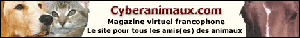 cyberanimaux.com