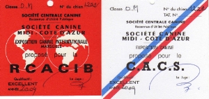 RCACIB et CACS Fréjus 2009