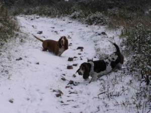 Billy et Allumette dans la neige
