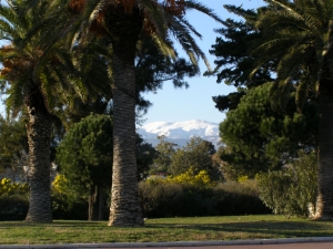 parc du Prince Rainier de Monaco prs de l hippodrome de Cagnes sur Mer