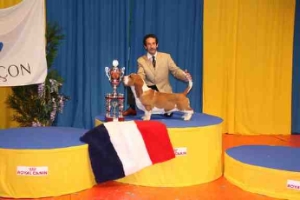 Une exposition canine demande beaucoup de prparations